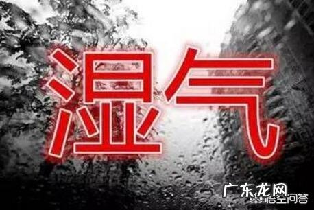 湿气重的人,该怎样减肥呢?