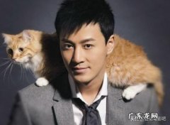 林峰主演的电视剧大全 林峰主演的电视剧