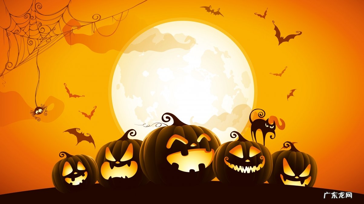 拔罐是哪个部位不能拔罐？