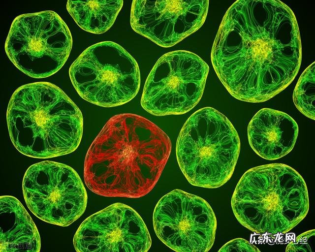 敷面膜的最佳时间是多少，为什么？