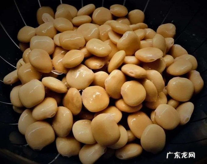 下一个超级食物:鲁冰花?羽扇豆