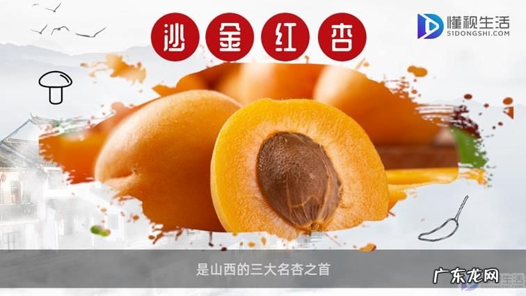 太原最值得带回家的特产？ 太原特产有哪些