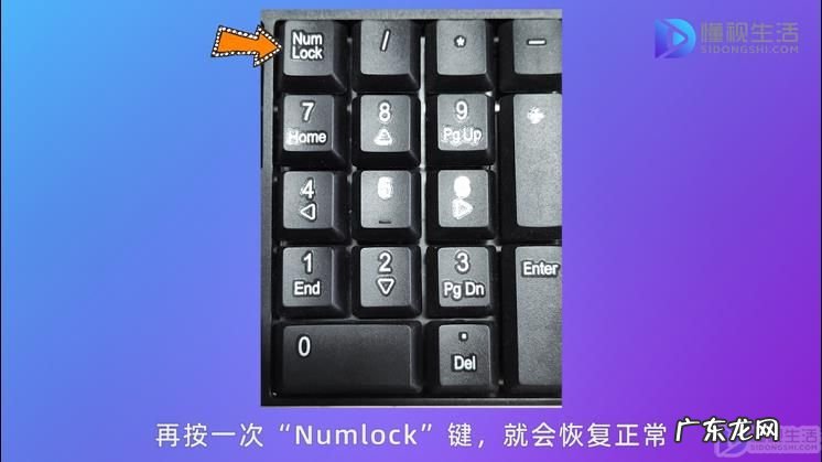 键盘锁住了打不了字？ windows键盘锁住了怎么解锁