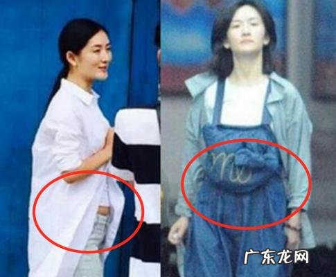 快乐大本营谢娜怀孕回归 快乐大本营谢娜怀孕