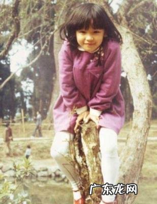 陈坤和徐若瑄电影 徐若瑄演过的电影