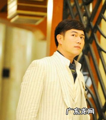 陈键锋主演的电视剧大全结婚 陈键锋主演的电视剧