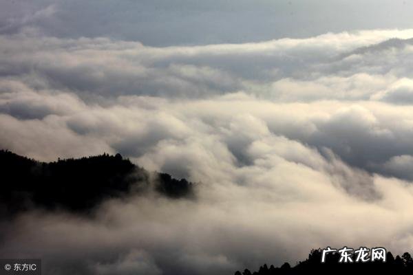 获得信任的英文 获得信任