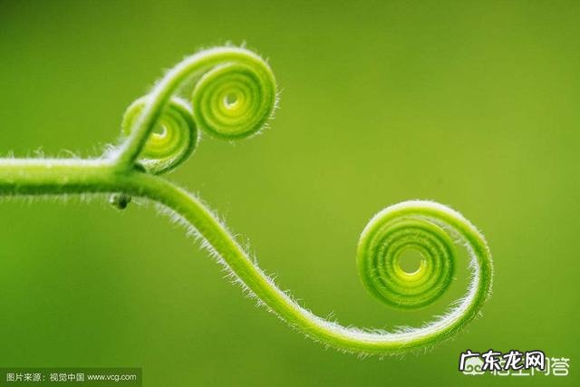 体寒虚胖的人该怎么减肥?