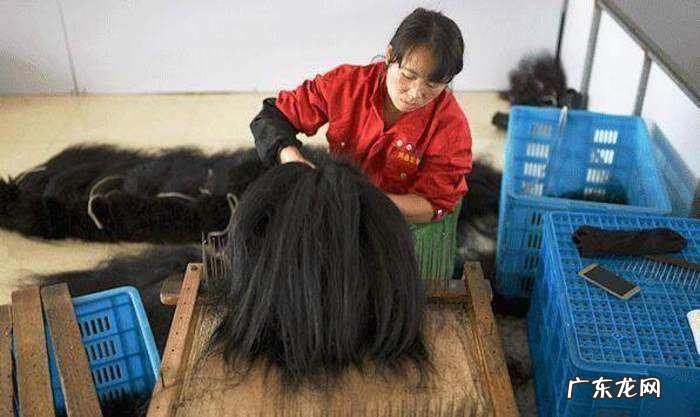 “鞠婧祎代言假发?秃头女孩DNA动了”