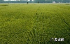 一亩等于多少平方米 一亩等于多少平方丈