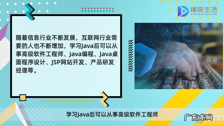 web前端专业？ java开发属于什么专业