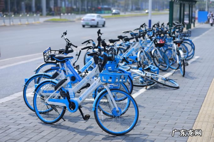 哈啰单车预计回收兰州市区1.2万辆旧单车