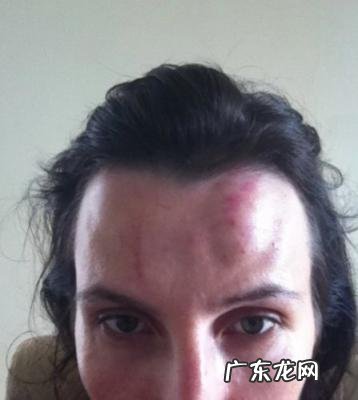 疯狂英语李阳家暴妻子 疯狂英语李阳家暴