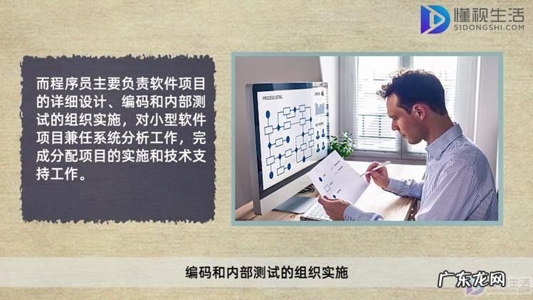 软件设计师初级？ 软件设计师跟程序员区别