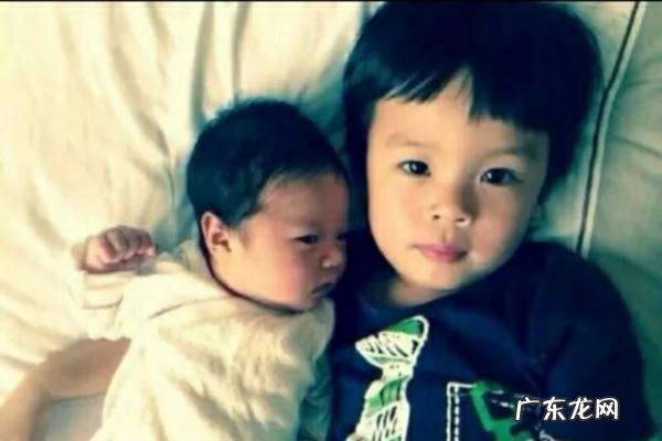 董洁的儿子和女儿图片 董洁儿子身世