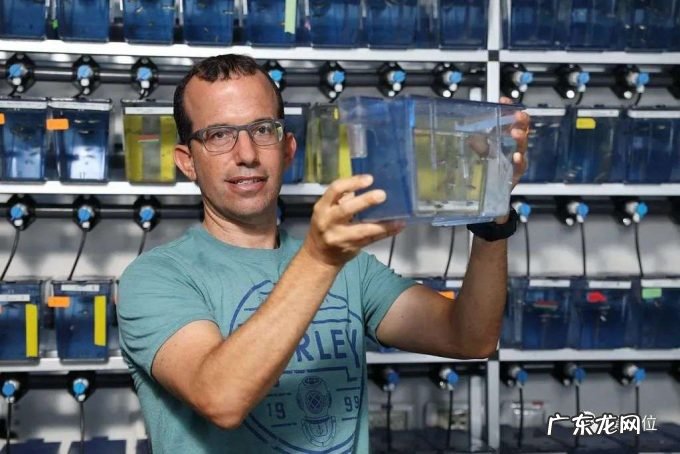 孩子,别熬夜了,伤DNA