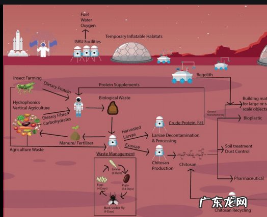 火星上的房屋?这种奇怪的生物材料 未来 或许可以用上?