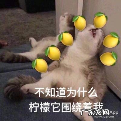 吴青峰男友视角 吴青峰男友