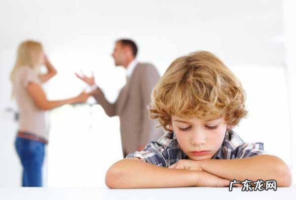 杨子陶虹谁更有钱 杨子陶虹