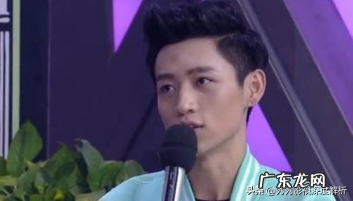 魏晨郑爽cp 魏晨郑爽