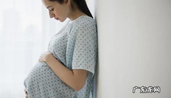 朱丹个人资料简介 朱丹个人资料