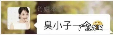 朱丹个人资料简介 朱丹个人资料