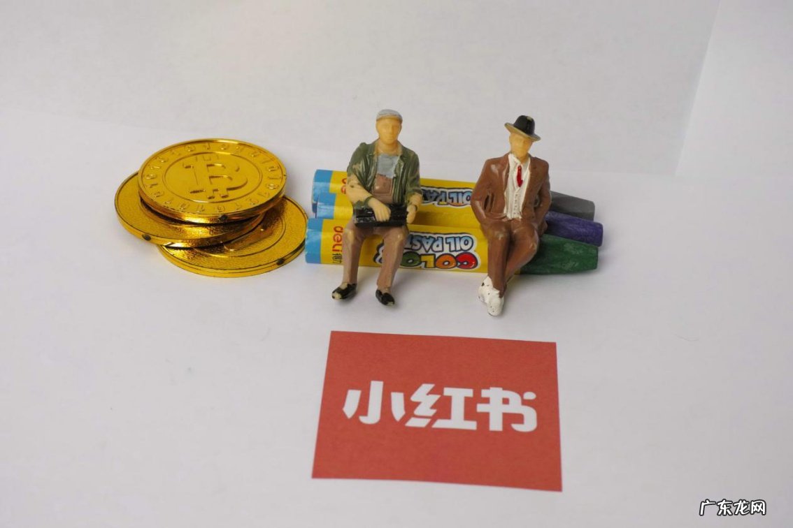 小红书瞿芳:生态工作应当成平台核心竞争力打造