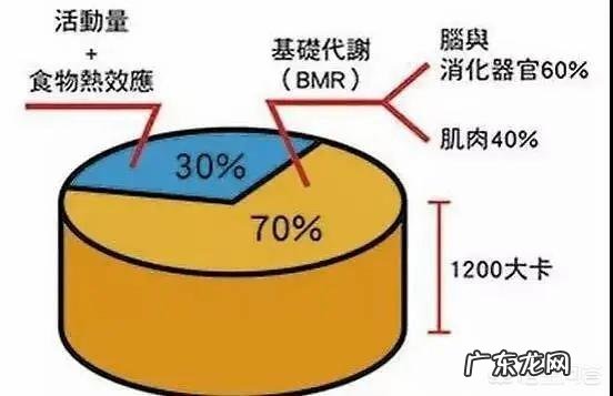 快速有效的减肥方法有哪些？具体一些？