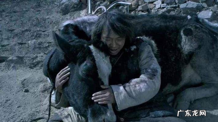 马伊琍高虎结婚照 马伊琍前夫高虎