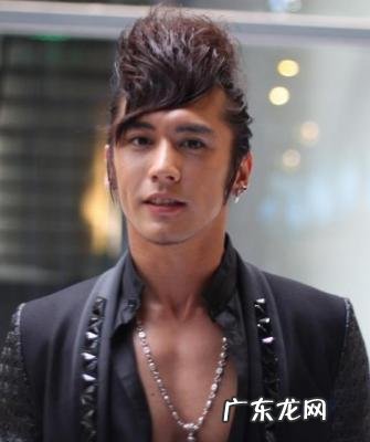 张伦硕整容钱 张伦硕整容