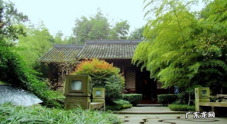 戚薇个人资料老公是谁 戚薇个人资料