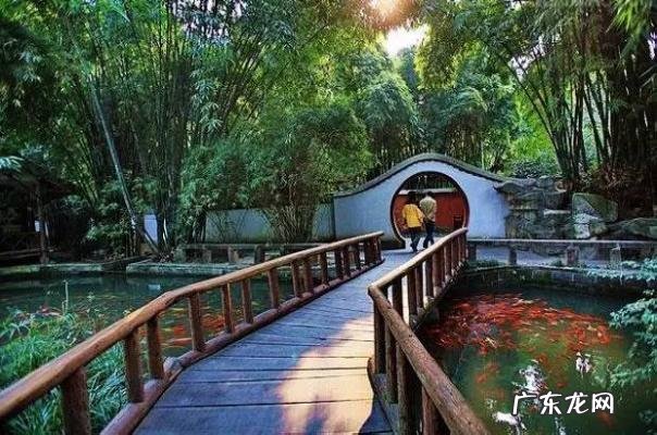 戚薇个人资料老公是谁 戚薇个人资料