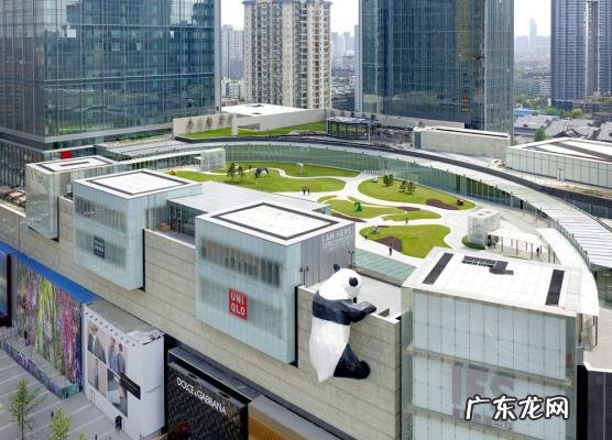 戚薇个人资料老公是谁 戚薇个人资料