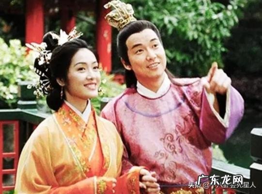 苑琼丹子 苑琼丹微博