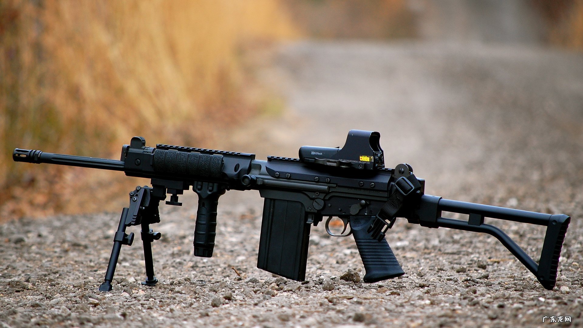 身高163体重102算胖吗？