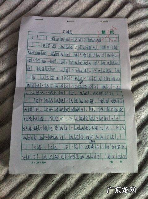 抄一篇作文400字写人物的 抄一篇作文400字