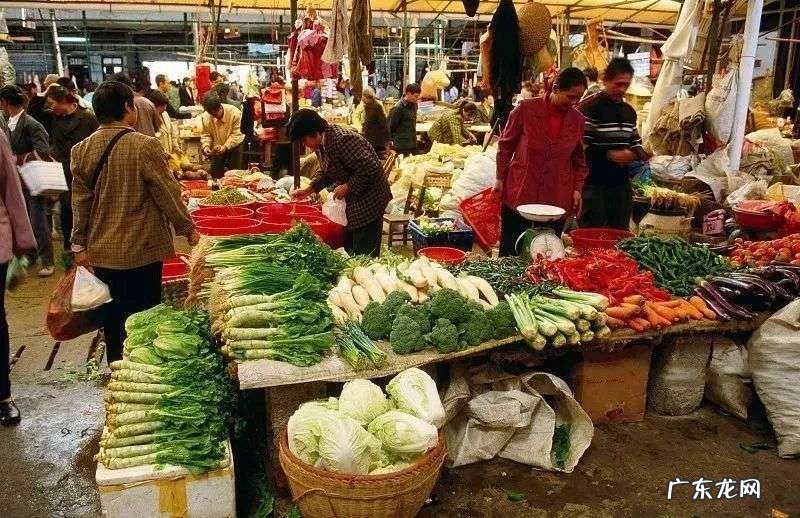 5万亿的生鲜生意，又多了条鲶鱼