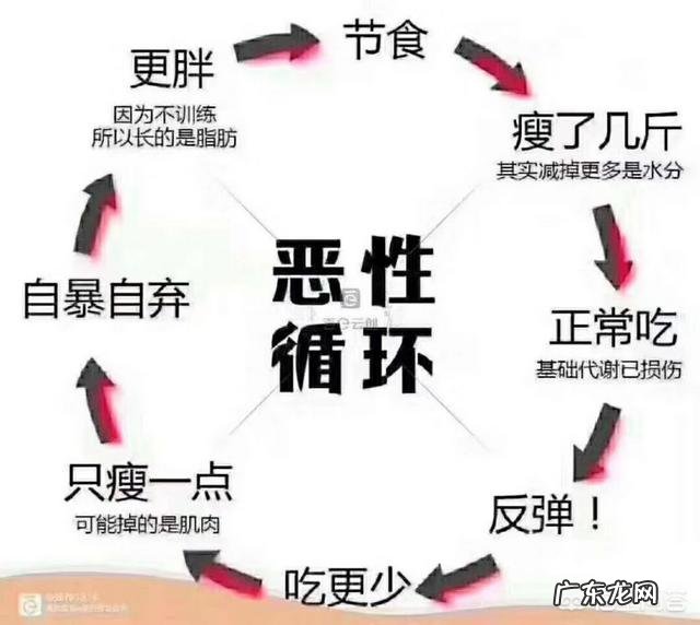 减脂餐减肥会反弹吗 减肥之后反弹会有什么原因?