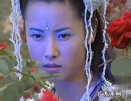 何晟铭个人资料简介图片 何晟铭的个人资料