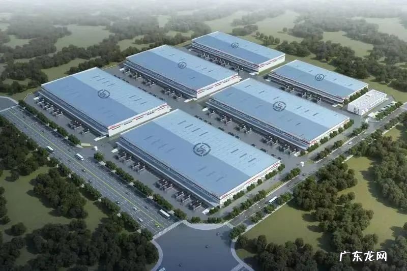 拼多多已在顺丰海南国际生鲜港开展试运营