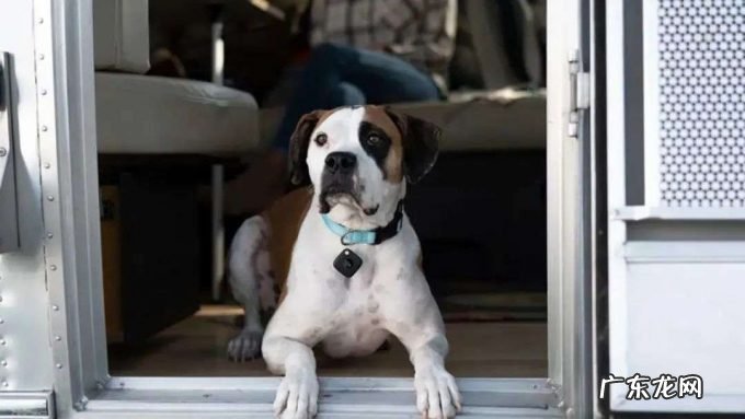 「失物追踪专家」Tile 被收购,曾批评苹果不公平竞争