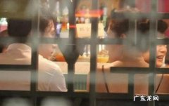 夏家三千金爱情真善美电视剧 夏家三千金大结局