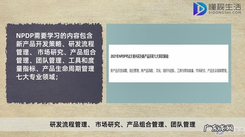 npdp需要学习什么