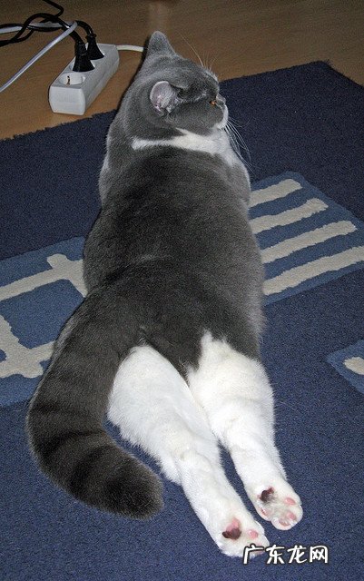 身高155体重125穿多大码的裤子 身高155体重103应该穿多大码的裤子28还是29？