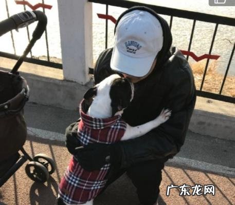 孙淳个人资料及图片 孙淳个人资料