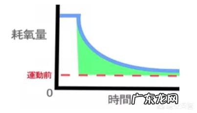 减肥半年,主要是不吃晚饭,有些作用,但现在吃一点就胖怎么办?