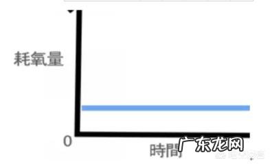 减肥半年,主要是不吃晚饭,有些作用,但现在吃一点就胖怎么办?