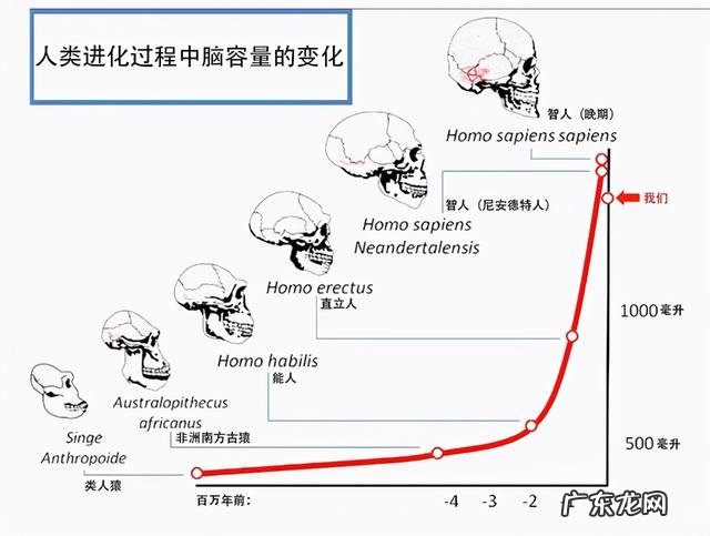 男子体验12级分娩疼痛-男人体验12级分娩疼哭了