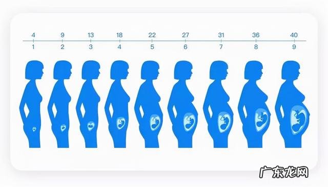 男子体验12级分娩疼痛-男人体验12级分娩疼哭了