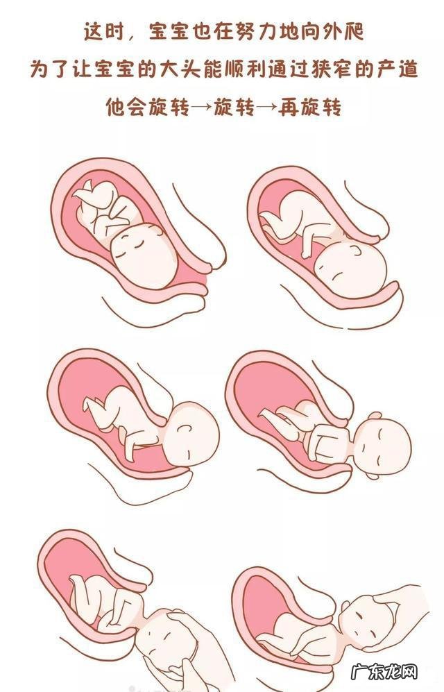 男子体验12级分娩疼痛-男人体验12级分娩疼哭了